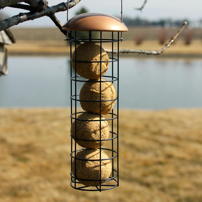 CS Wild Bird Food Suet Dough Balls Feeder - Image 2